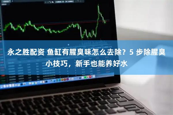 永之胜配资 鱼缸有腥臭味怎么去除？5 步除腥臭小技巧，新手也能养好水