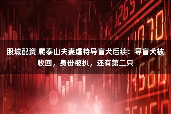 股城配资 爬泰山夫妻虐待导盲犬后续：导盲犬被收回，身份被扒，还有第二只