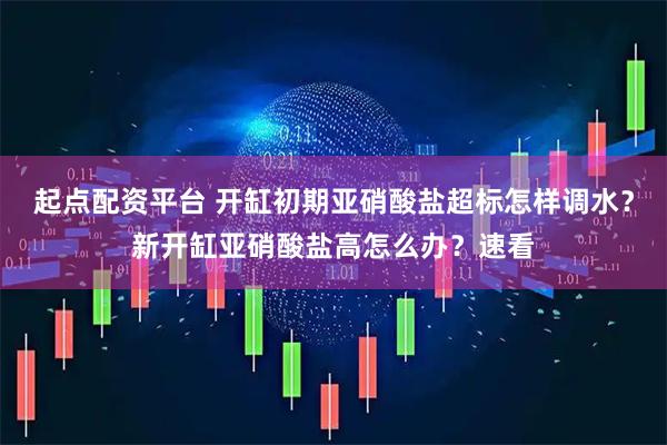 起点配资平台 开缸初期亚硝酸盐超标怎样调水？新开缸亚硝酸盐高怎么办？速看