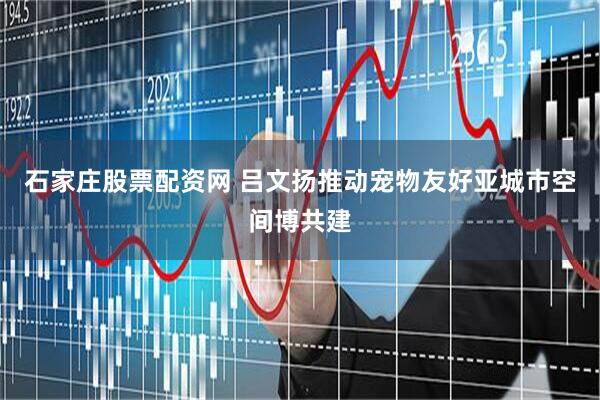 石家庄股票配资网 吕文扬推动宠物友好亚城市空间博共建