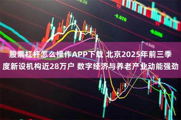 股票杠杆怎么操作APP下载 北京2025年前三季度新设机构近28万户 数字经济与养老产业动能强劲