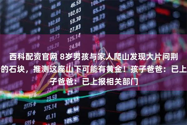 西科配资官网 8岁男孩与家人爬山发现大片问荆草和含云母的石块，推测这座山下可能有黄金！孩子爸爸：已上报相关部门