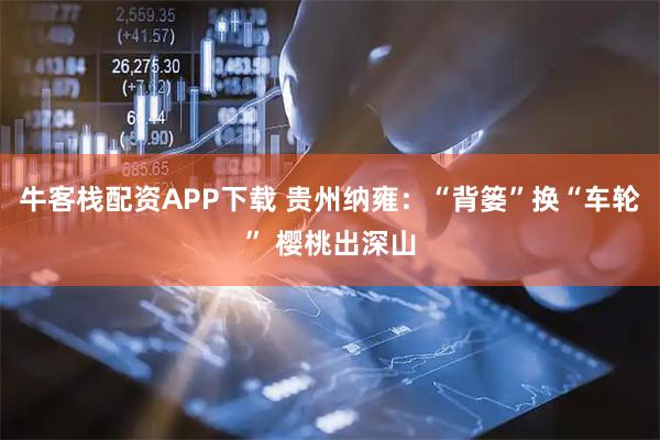 牛客栈配资APP下载 贵州纳雍：“背篓”换“车轮” 樱桃出深山