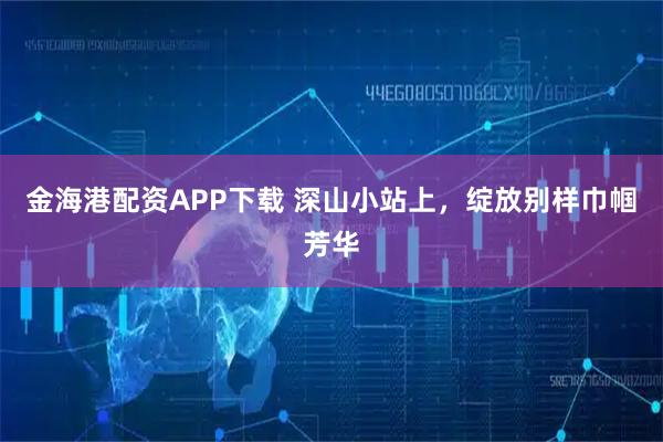金海港配资APP下载 深山小站上，绽放别样巾帼芳华